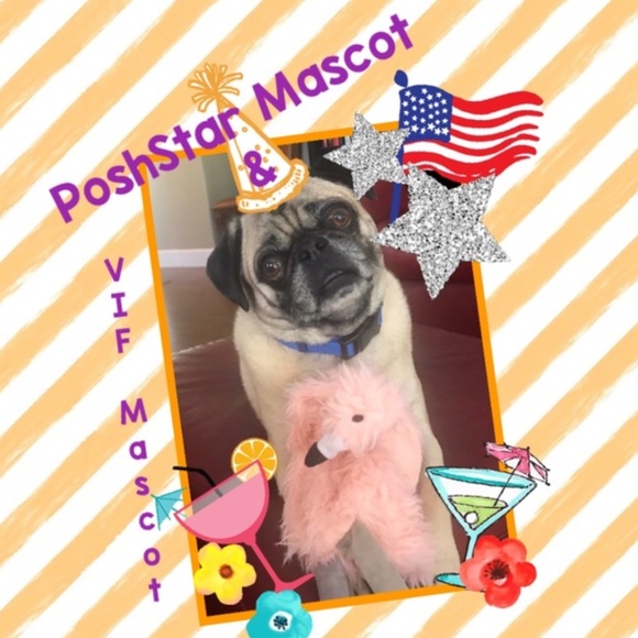 ๐ฆฉ๐Sight seeing๐Dinner๐Music๐ถNight cap๐ฅ๐ฆฉ๐ - Picture 5 of 6